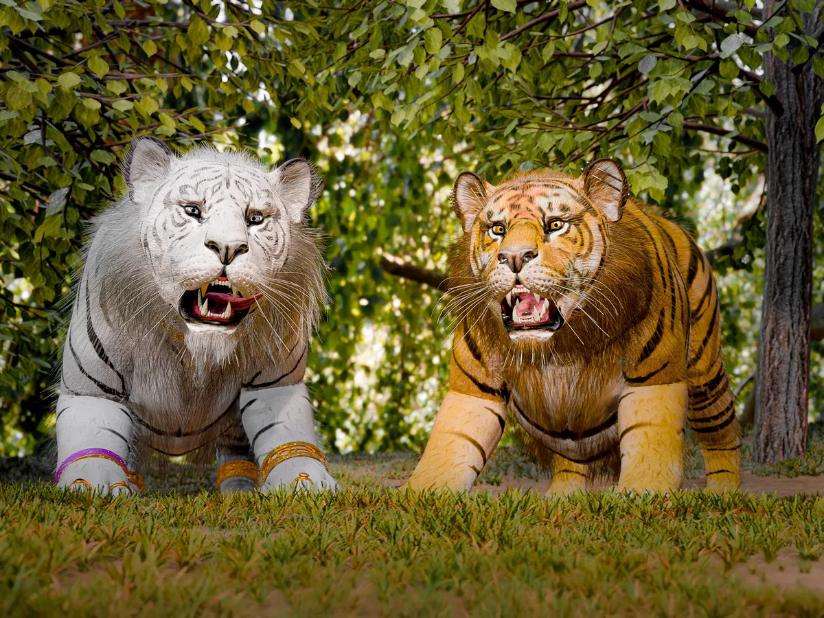 Avatar of Taking care of two big tigers