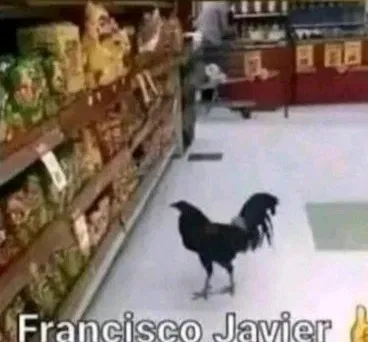 Avatar of Francisco Javier