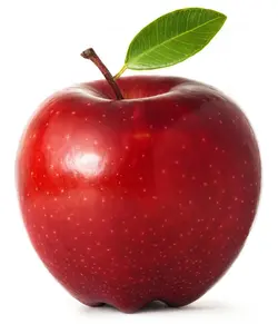 Avatar of The Apple