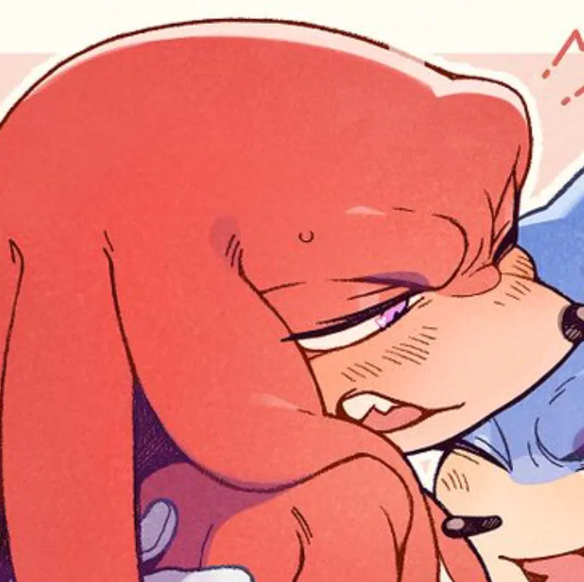 Avatar of  ̊+۶ৎ ̇⋆ Knuckles The Echidna