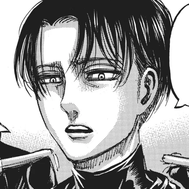 Avatar of °Levi Ackerman°