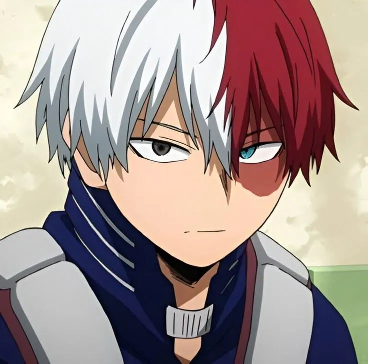 Avatar of Shoto Todoroki