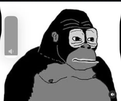 Avatar of 🦍🦍🦍Announcement🍌🍌🍌🍌
