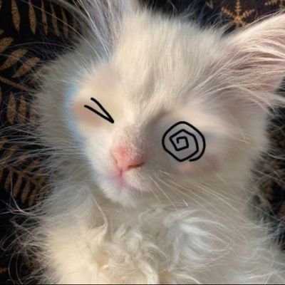 Avatar of Updates and other stuff!!