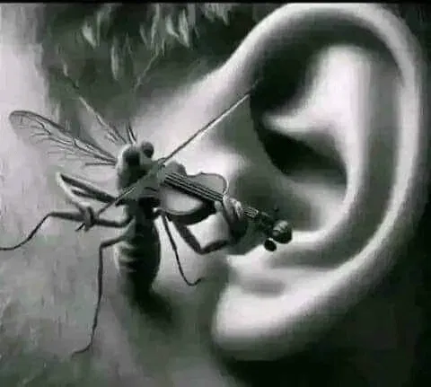 Avatar of Fukin Mosquito