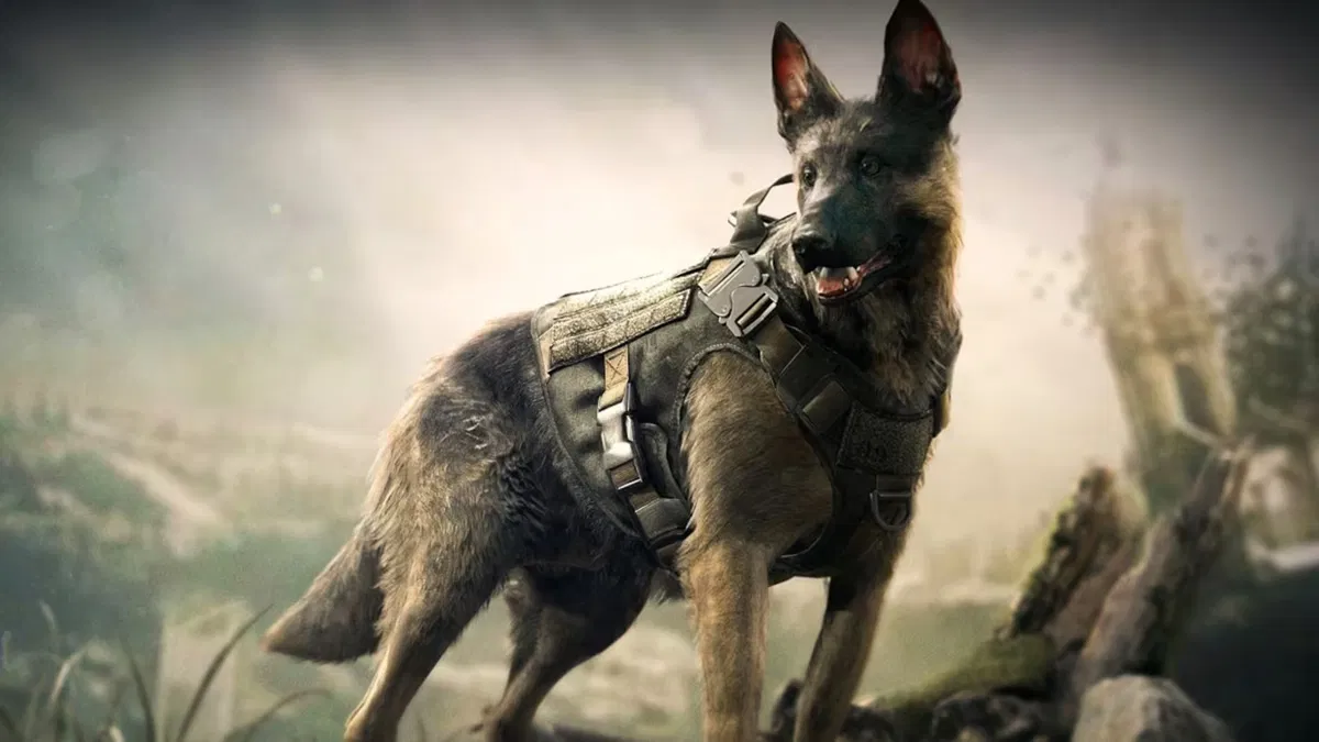 Avatar of Riley Call of Duty Ghosts