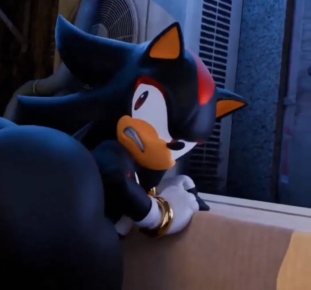 Avatar of [Shadow The Hedgehog] "a fair exchange"