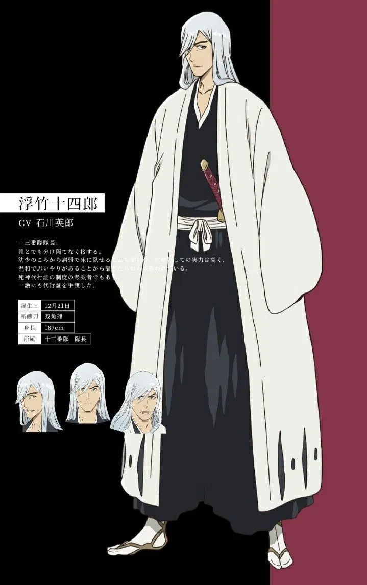 Avatar of Jushiro Ukitake