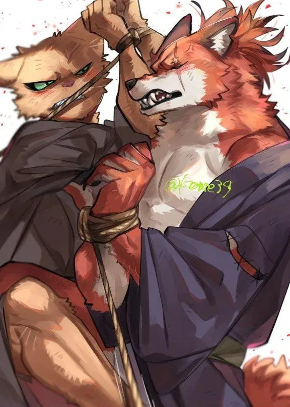 Avatar of Fox and Cat