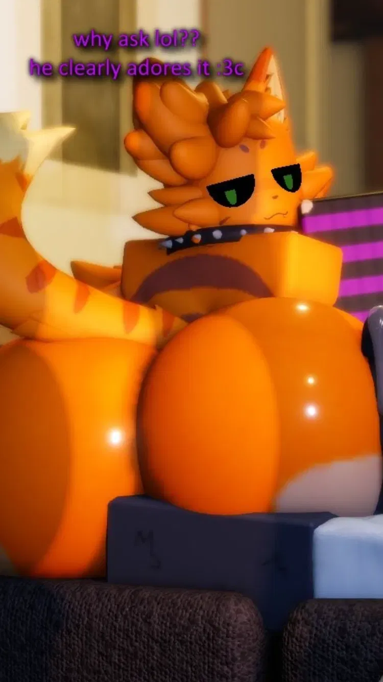 Avatar of Vix/The Best Cat