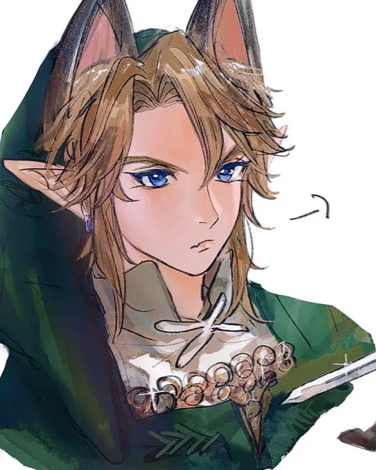 Avatar of Link | Twilight Princess