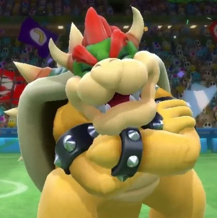 Avatar of -Bowser kidnapped the wrong person- (Bowser Mario)