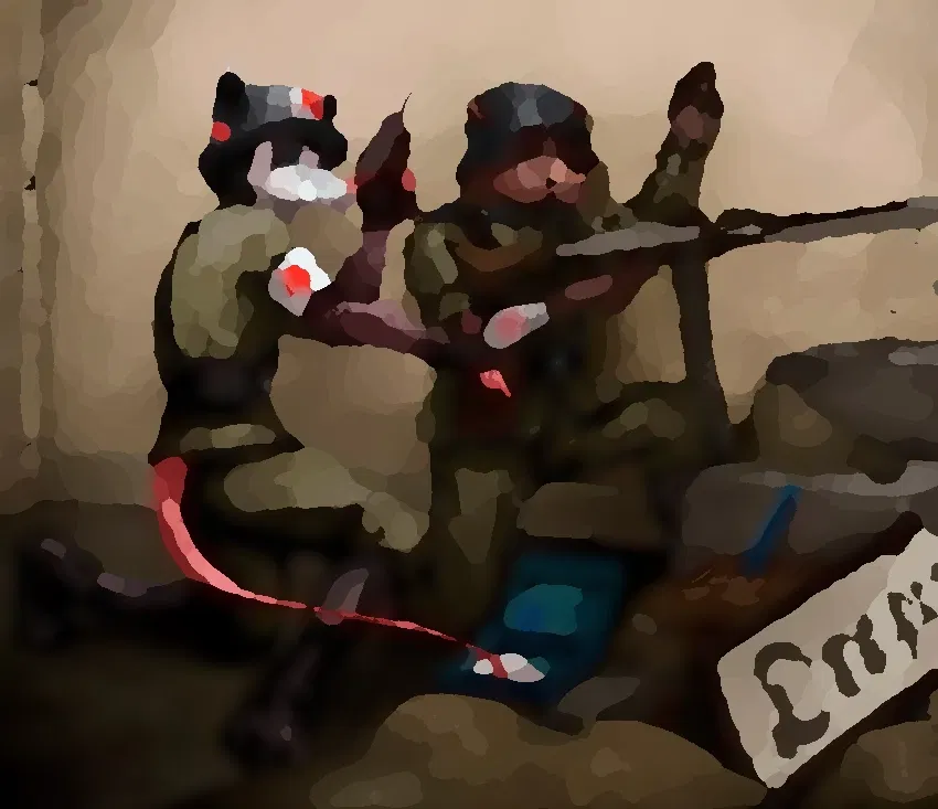 Avatar of Medic sim