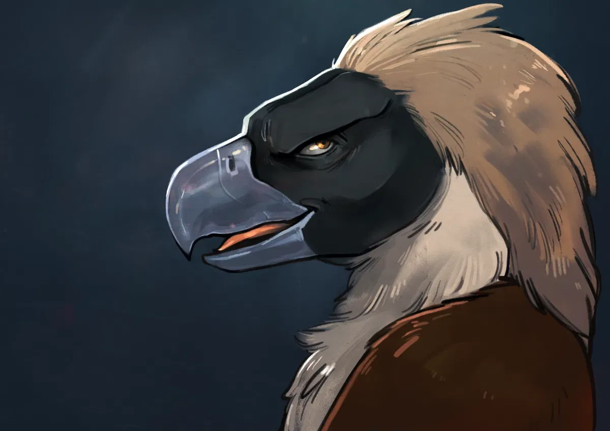 Avatar of Pirate Eagle - Virtual Dom