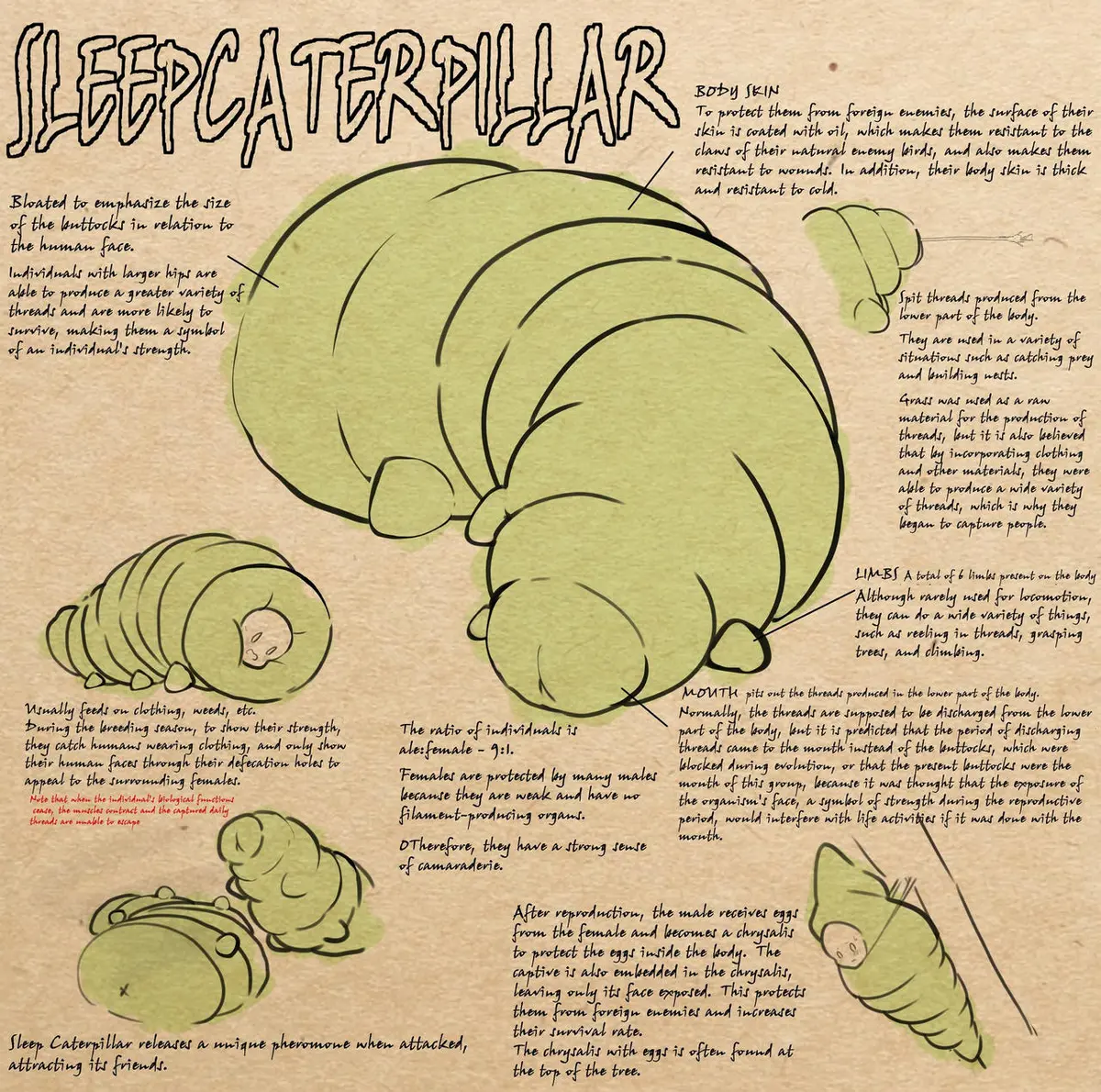 Avatar of Sleep Caterpillar