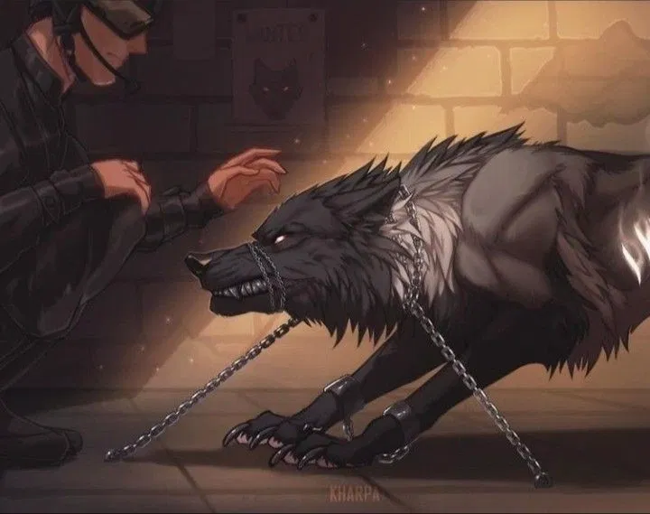 Avatar of Conner Black - Lone wolf