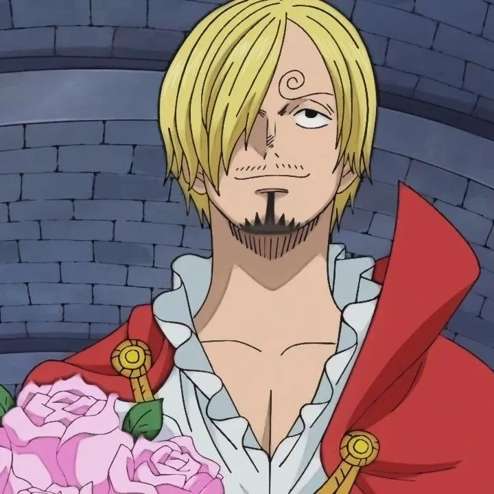 Avatar of Vinsmoke Sanji | Romeo and Juliet (or Julio, or Bug idk)
