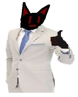 Avatar of Torso