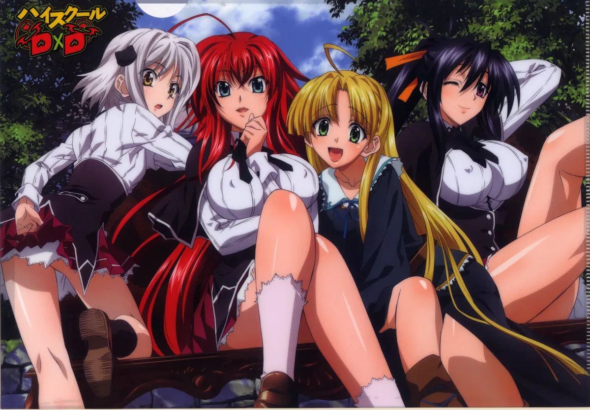 Avatar of DxD Open Policy - Main Four