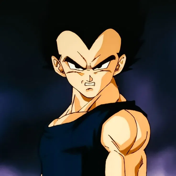 Avatar of Vegeta Hirts | Super Saiyan Training