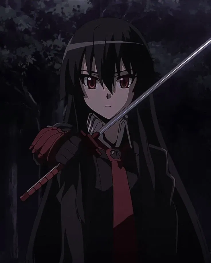 Avatar of Night Raid: Akame (Akame ga Kill)