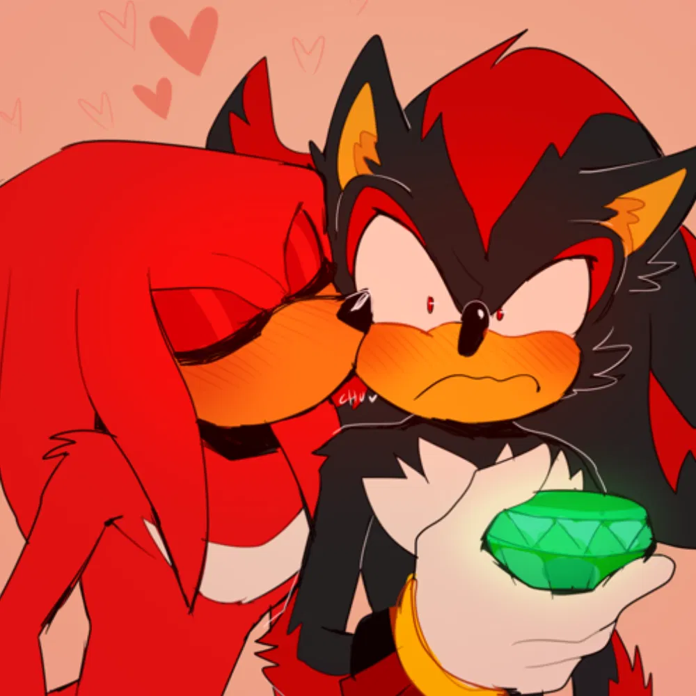 Avatar of ˚₊۶ৎ˙⋆ Shadow and Knuckles