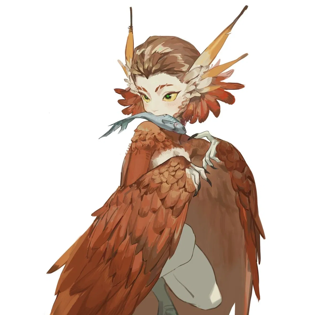 Avatar of Fish Gifts