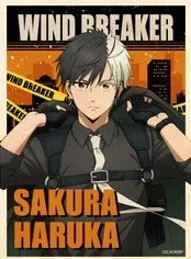 Avatar of Haruka Sakura