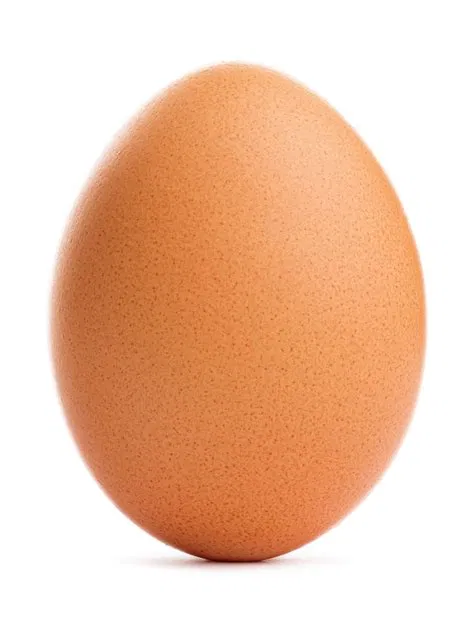 Avatar of Egg-stravaganza