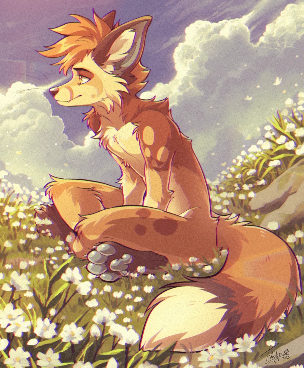Avatar of Lost in a furry world