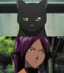 Avatar of Yoruichi Shihouin | Cat and Mouse