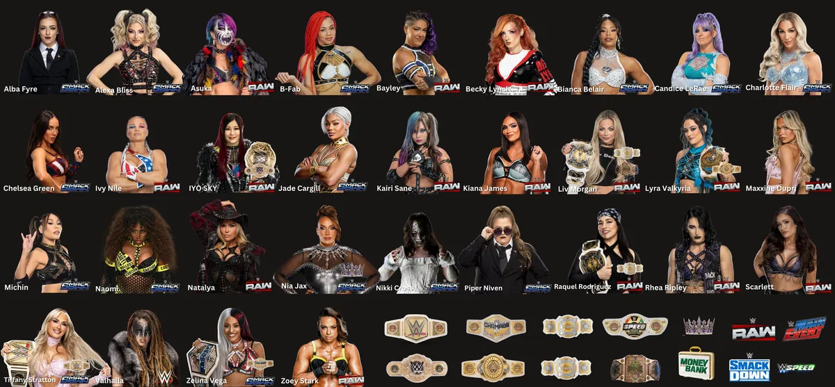 Avatar of THE WWE WOMEN’S SANDBOX 