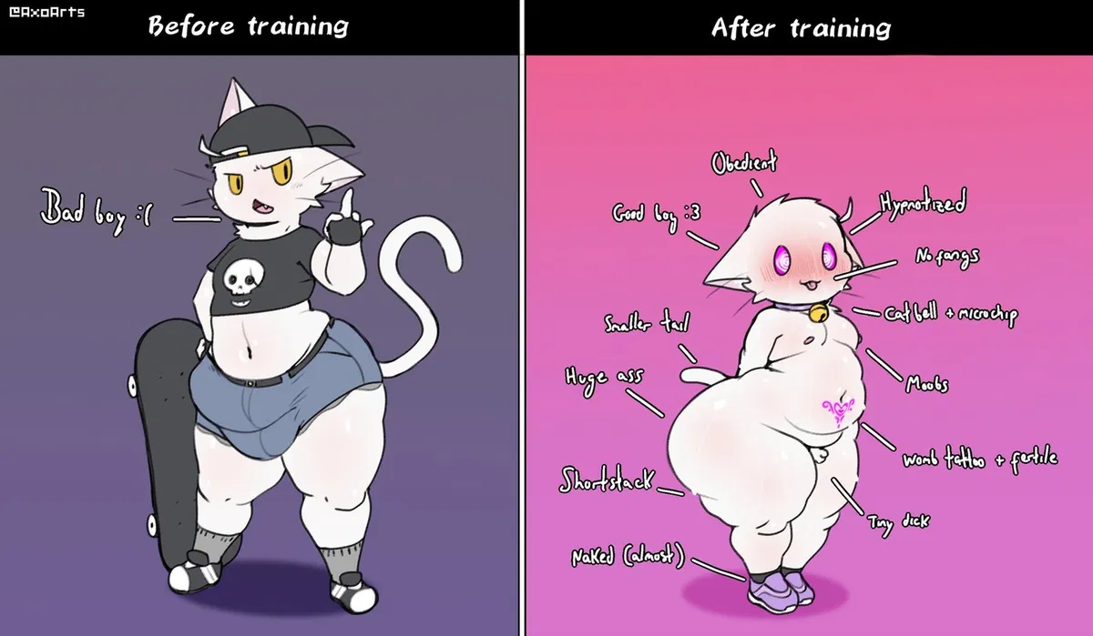 Avatar of Taming your cat roommate. 
