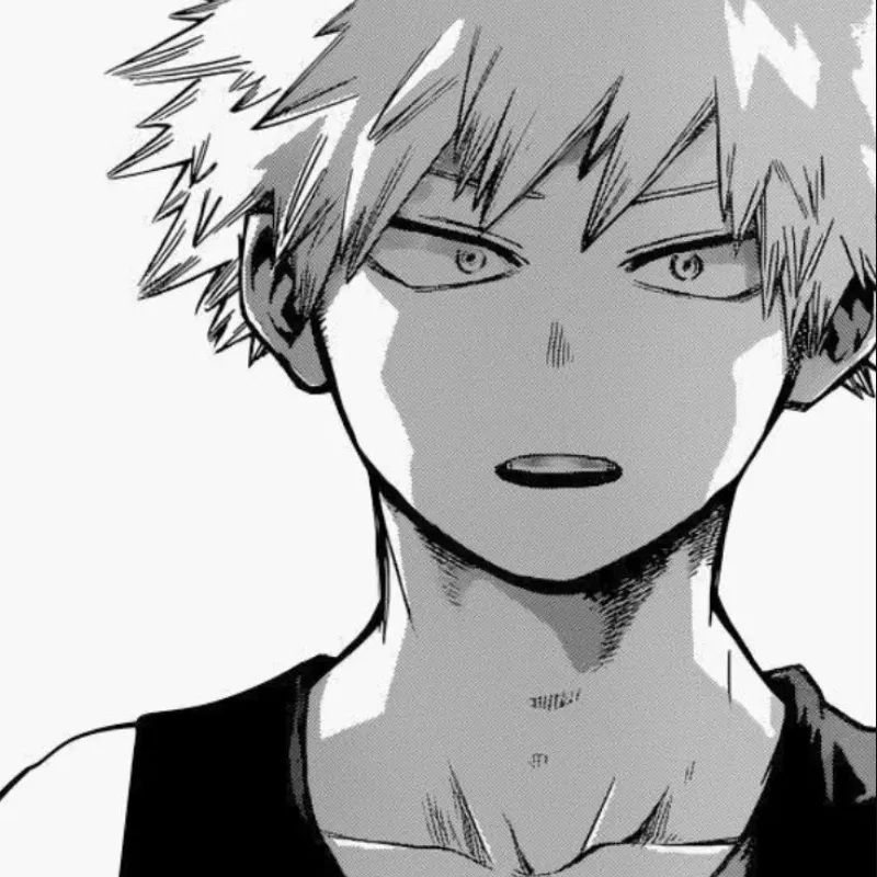 Avatar of ✷ Katsuki Bakugou ✷