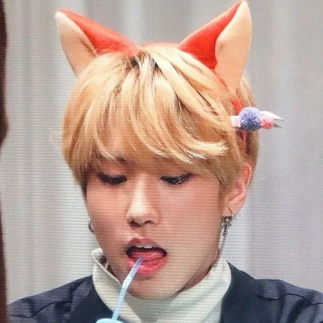 Avatar of Han Jisung || Fox hybrid pet
