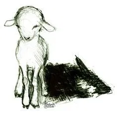Avatar of -Sheep in wolf's clothing