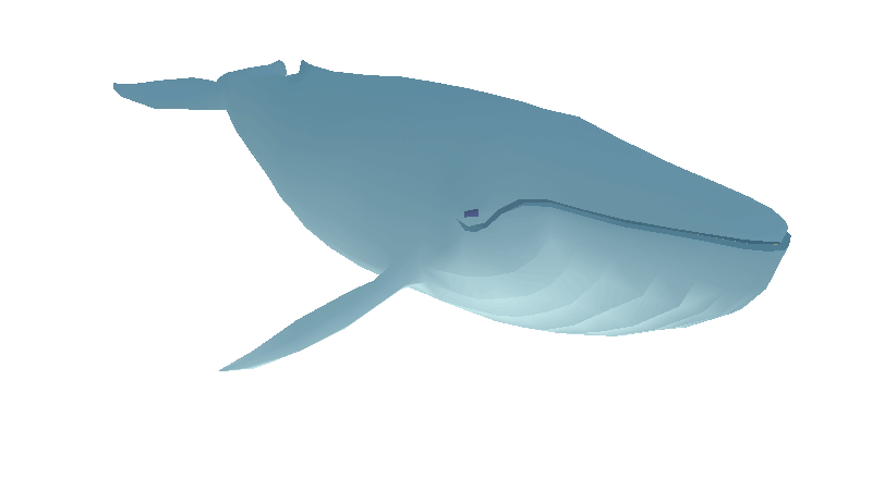 Avatar of 1000 years old blue whale