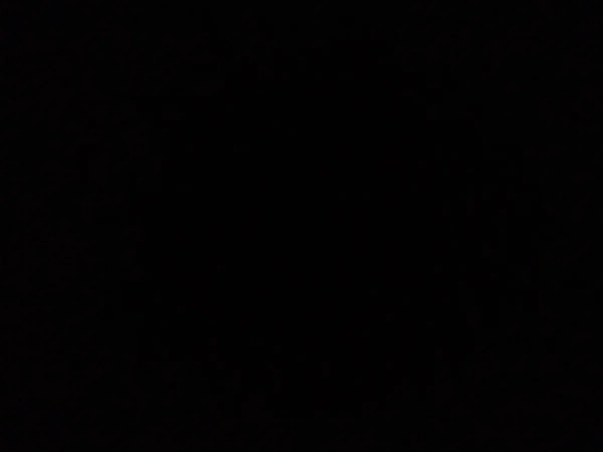 Avatar of Lil announcement