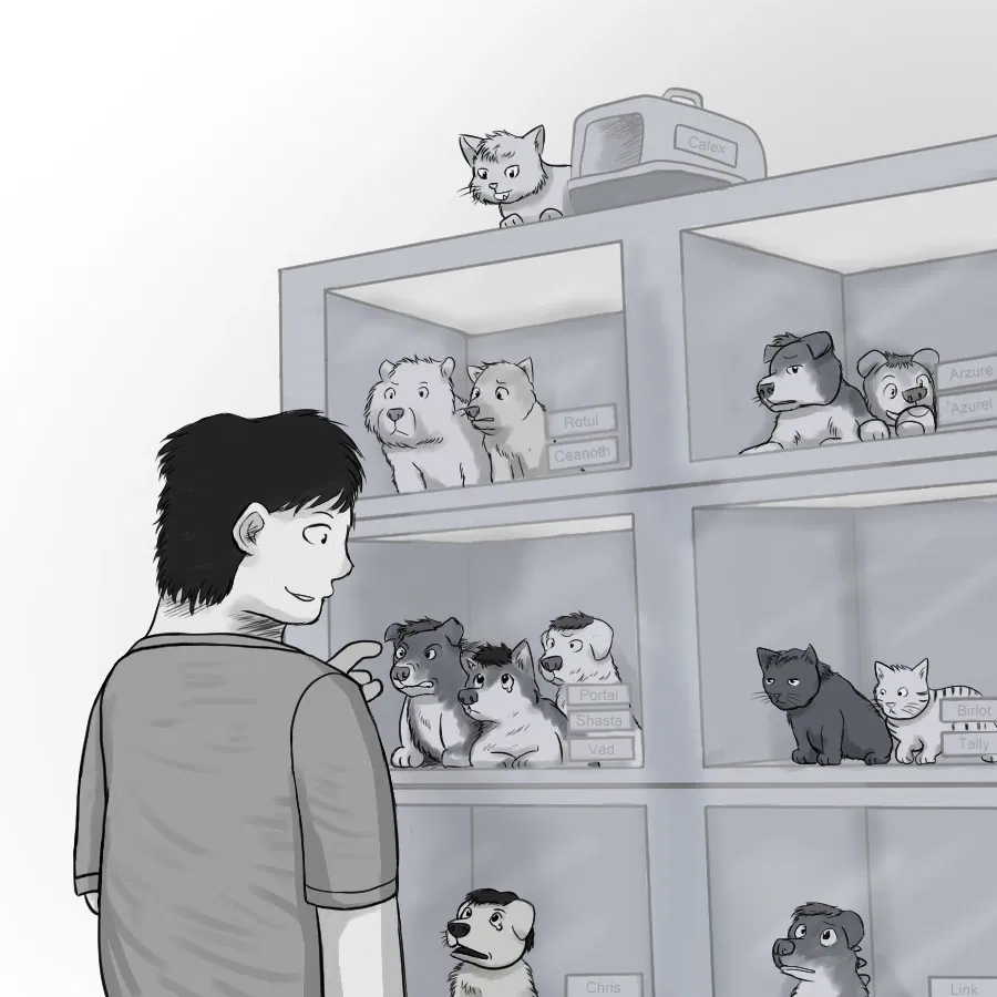 Avatar of Pet Store