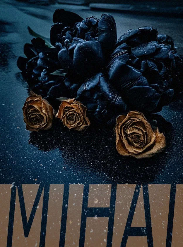 Avatar of Mihai | Obsessive Brother