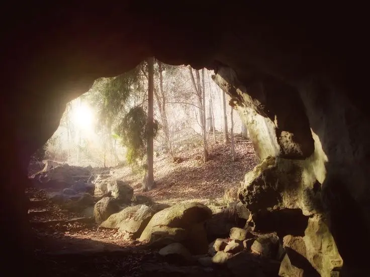 Avatar of David || The Grotto