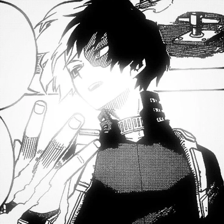 Avatar of Shoto Todoroki