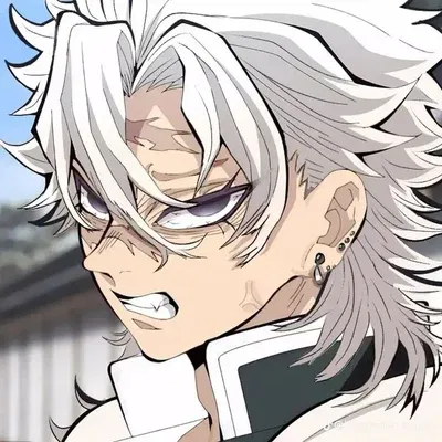 Avatar of Shinazugawa Sanemi
