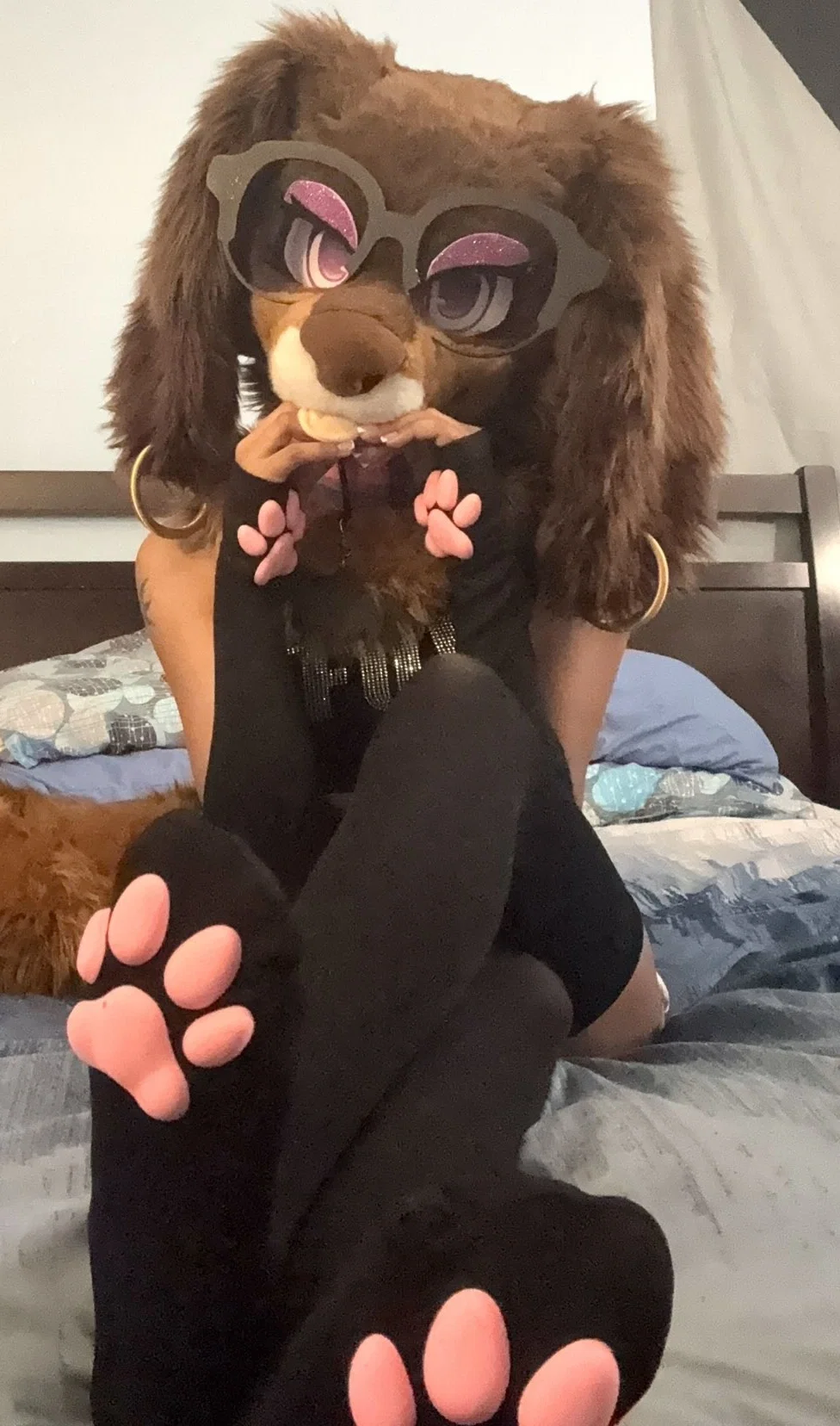 Avatar of 🐾Veeki Pupppy🐾