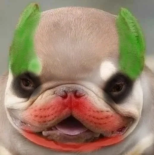 Avatar of Bot requests