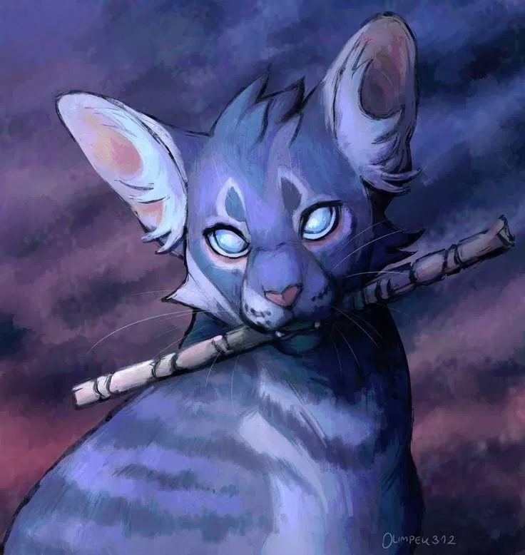 Avatar of Jayfeather - Grumpy Medicine Cat