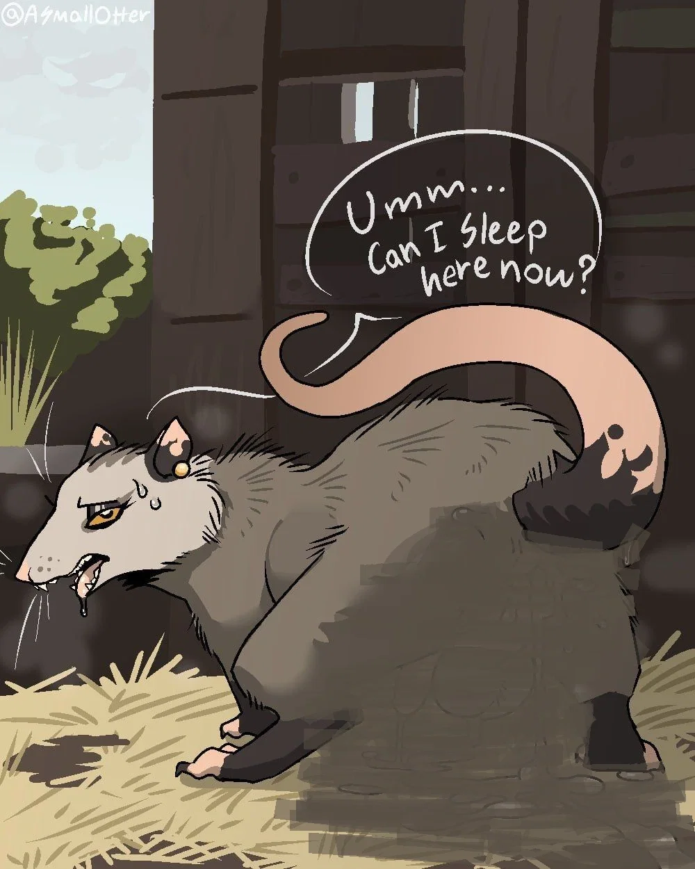 Avatar of Short Possum Guest