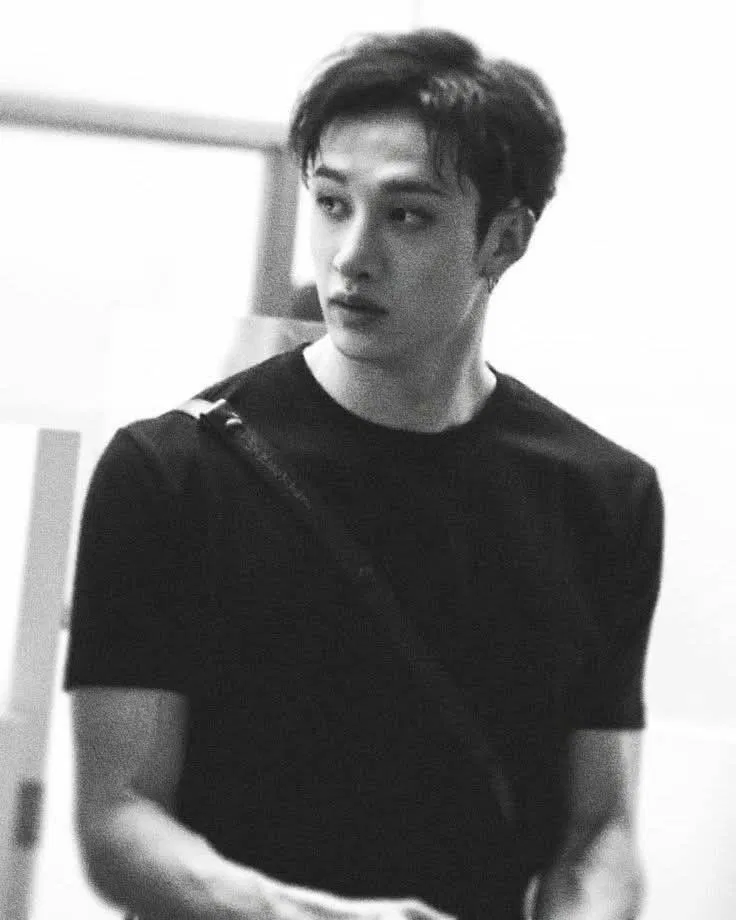 Avatar of Bangchan stepbrother 