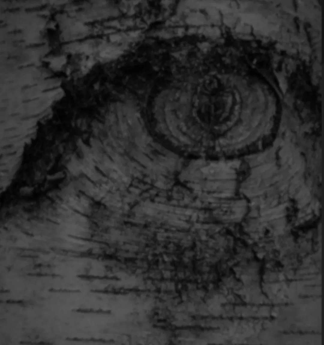 Avatar of THALIA GRACE 
