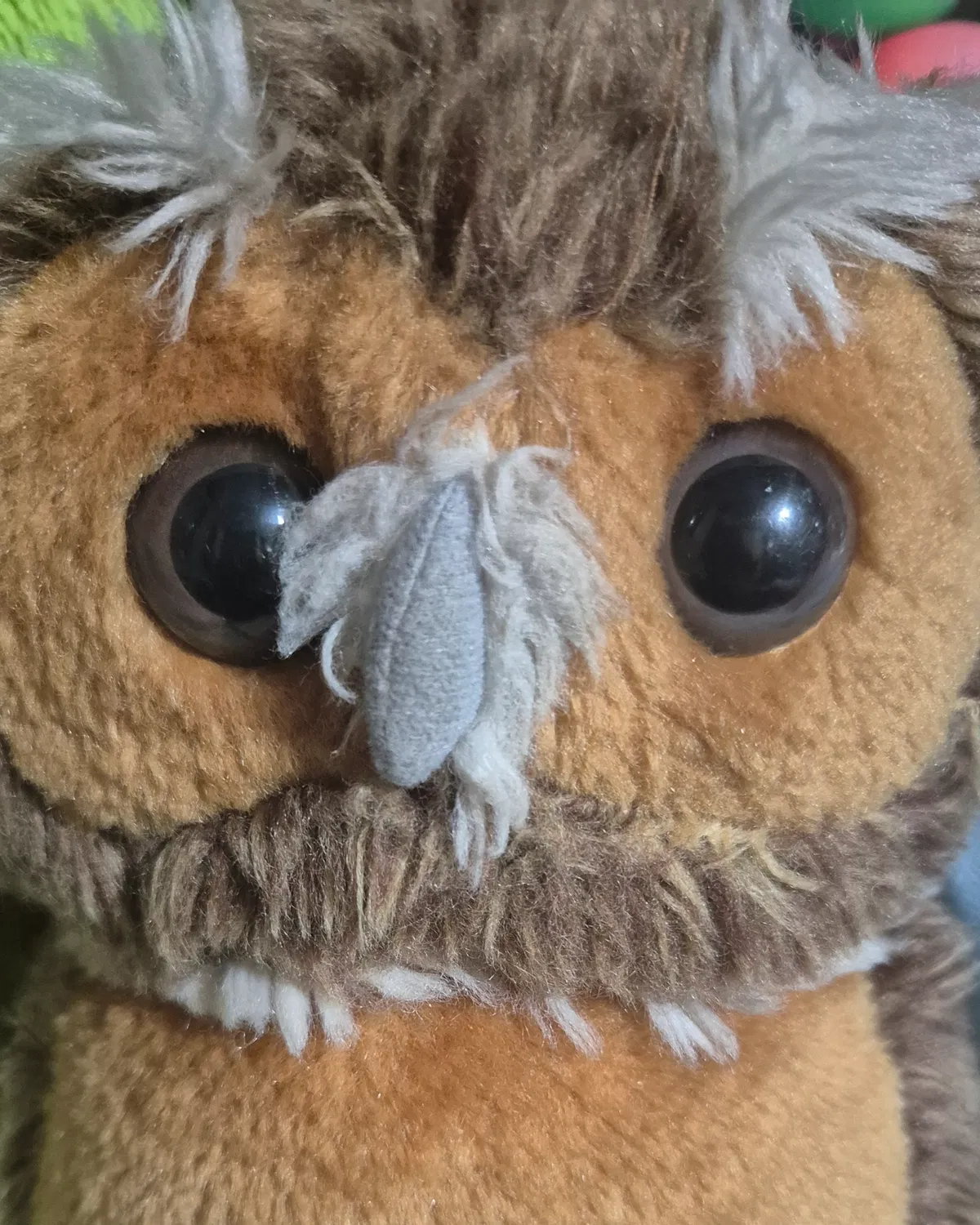 Avatar of Owl Reilly ♣ Caroling